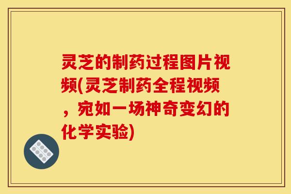 灵芝的制药过程图片视频(灵芝制药全程视频,宛如一场神奇变幻的化学实验) 灵芝的制药过程图片视频(灵芝制药全程视频,宛如一场神奇变幻的化学实验)