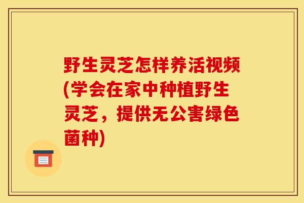 野生灵芝怎样养活视频(学会在家中种植野生灵芝，提供无公害绿色菌种)