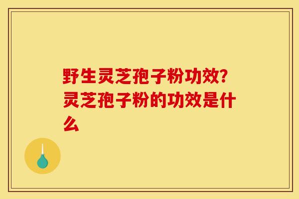 野生灵芝孢子粉功效?灵芝孢子粉的功效是什么 野生灵芝孢子粉功效?灵芝孢子粉的功效是什么