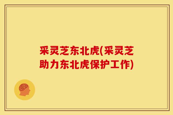 采灵芝东北虎(采灵芝助力东北虎保护工作) 采灵芝东北虎(采灵芝助力东北虎保护工作)