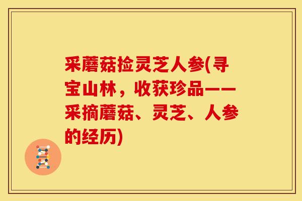 采蘑菇捡灵芝人参(寻宝山林,收获珍品——采摘蘑菇、灵芝、人参的经历) 采蘑菇捡灵芝人参(寻宝山林,收获珍品——采摘蘑菇、灵芝、人参的经历)