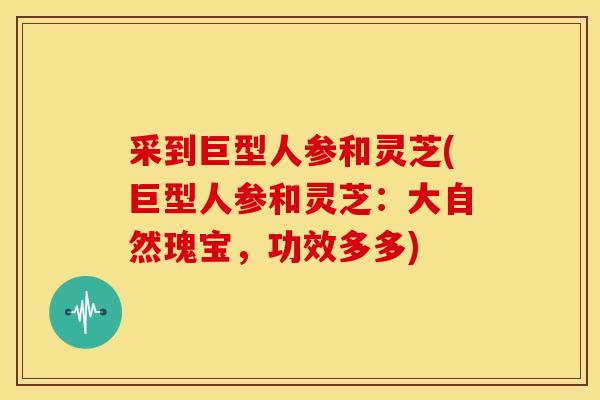 采到巨型人参和灵芝(巨型人参和灵芝:大自然瑰宝,功效多多) 采到巨型人参和灵芝(巨型人参和灵芝:大自然瑰宝,功效多多)
