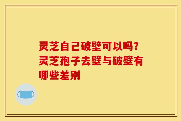 灵芝自己破壁可以吗?灵芝孢子去壁与破壁有哪些差别 灵芝自己破壁可以吗?灵芝孢子去壁与破壁有哪些差别