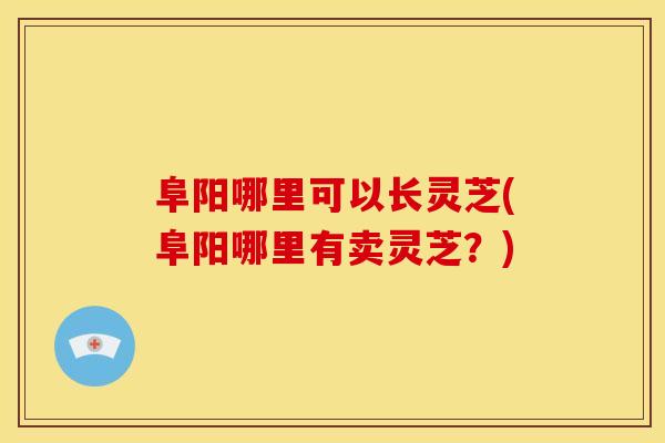 阜阳哪里可以长灵芝(阜阳哪里有卖灵芝？)