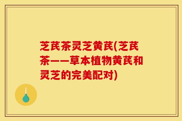 芝芪茶灵芝黄芪(芝芪茶——草本植物黄芪和灵芝的完美配对)