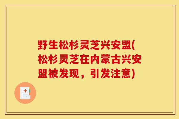 野生松杉灵芝兴安盟(松杉灵芝在内蒙古兴安盟被发现，引发注意)