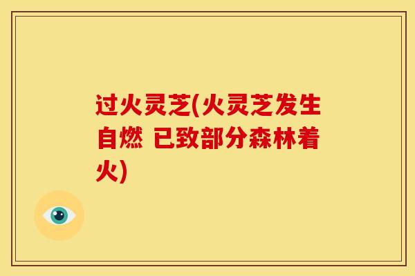 过火灵芝(火灵芝发生自燃 已致部分森林着火) 过火灵芝(火灵芝发生自燃 已致部分森林着火)