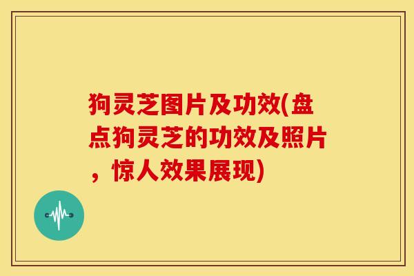 狗灵芝图片及功效(盘点狗灵芝的功效及照片,惊人效果展现) 狗灵芝图片及功效(盘点狗灵芝的功效及照片,惊人效果展现)