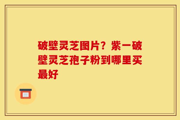 破壁灵芝图片?紫一破壁灵芝孢子粉到哪里买好 破壁灵芝图片?紫一破壁灵芝孢子粉到哪里买好