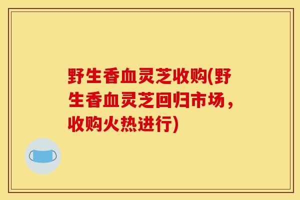 野生香灵芝收购(野生香灵芝回归市场,收购火热进行) 野生香灵芝收购(野生香灵芝回归市场,收购火热进行)
