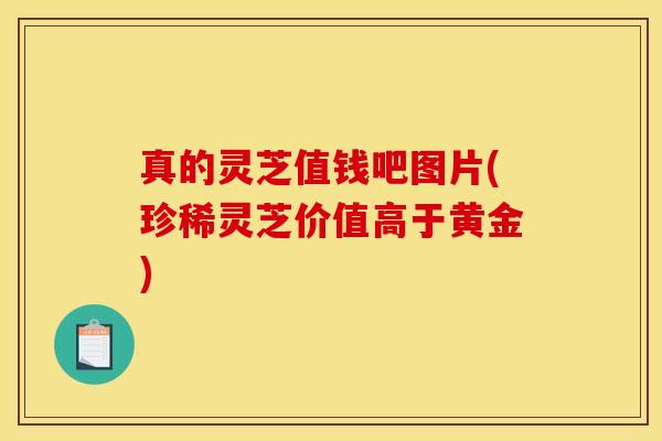 真的灵芝值钱吧图片(珍稀灵芝价值高于黄金) 真的灵芝值钱吧图片(珍稀灵芝价值高于黄金)