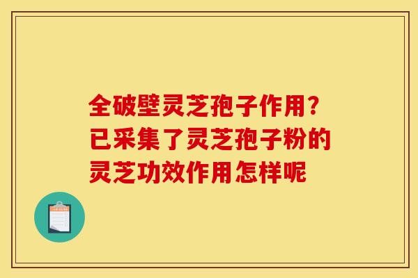 全破壁灵芝孢子作用?已采集了灵芝孢子粉的灵芝功效作用怎样呢 全破壁灵芝孢子作用?已采集了灵芝孢子粉的灵芝功效作用怎样呢