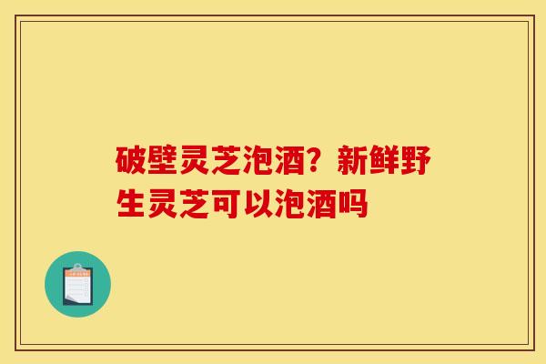 破壁灵芝泡酒?新鲜野生灵芝可以泡酒吗 破壁灵芝泡酒?新鲜野生灵芝可以泡酒吗