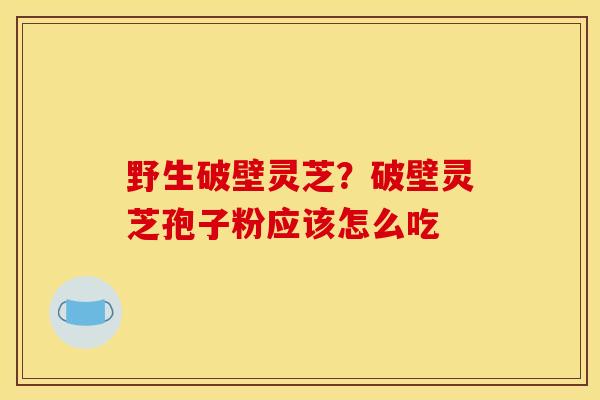 野生破壁灵芝？破壁灵芝孢子粉应该怎么吃