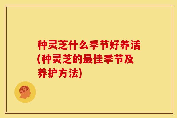 种灵芝什么季节好养活(种灵芝的佳季节及养护方法) 种灵芝什么季节好养活(种灵芝的佳季节及养护方法)