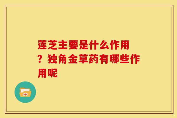 莲芝主要是什么作用 ?独角金草药有哪些作用呢 莲芝主要是什么作用 ?独角金草药有哪些作用呢