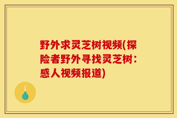 野外求灵芝树视频(探险者野外寻找灵芝树:感人视频报道) 野外求灵芝树视频(探险者野外寻找灵芝树:感人视频报道)