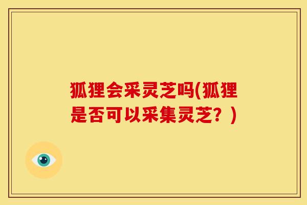 狐狸会采灵芝吗(狐狸是否可以采集灵芝?) 狐狸会采灵芝吗(狐狸是否可以采集灵芝?)