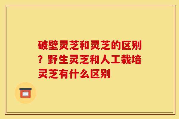 破壁灵芝和灵芝的区别?野生灵芝和人工栽培灵芝有什么区别 破壁灵芝和灵芝的区别?野生灵芝和人工栽培灵芝有什么区别