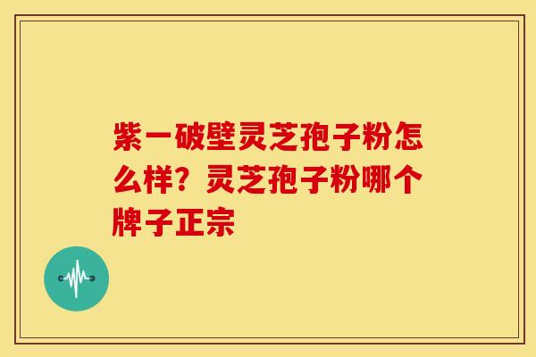 紫一破壁灵芝孢子粉怎么样?灵芝孢子粉哪个牌子正宗 紫一破壁灵芝孢子粉怎么样?灵芝孢子粉哪个牌子正宗