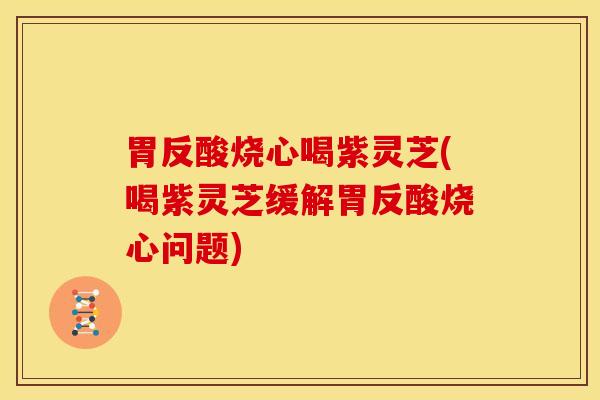 胃反酸烧心喝紫灵芝(喝紫灵芝缓解胃反酸烧心问题) 胃反酸烧心喝紫灵芝(喝紫灵芝缓解胃反酸烧心问题)