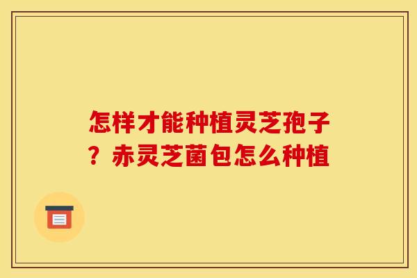 怎样才能种植灵芝孢子？赤灵芝菌包怎么种植