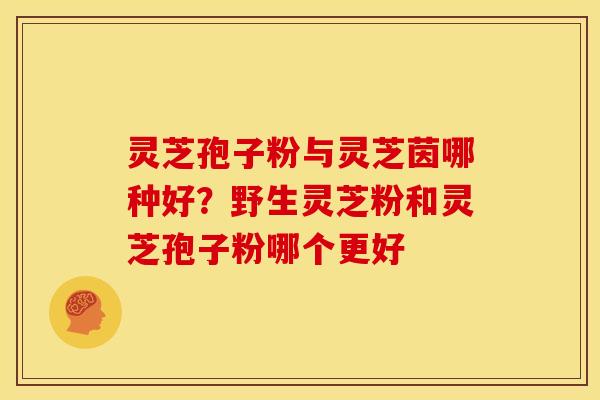 灵芝孢子粉与灵芝茵哪种好?野生灵芝粉和灵芝孢子粉哪个更好 灵芝孢子粉与灵芝茵哪种好?野生灵芝粉和灵芝孢子粉哪个更好