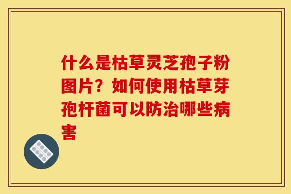 什么是枯草灵芝孢子粉图片?如何使用枯草芽孢杆菌可以防哪些害 什么是枯草灵芝孢子粉图片?如何使用枯草芽孢杆菌可以防哪些害