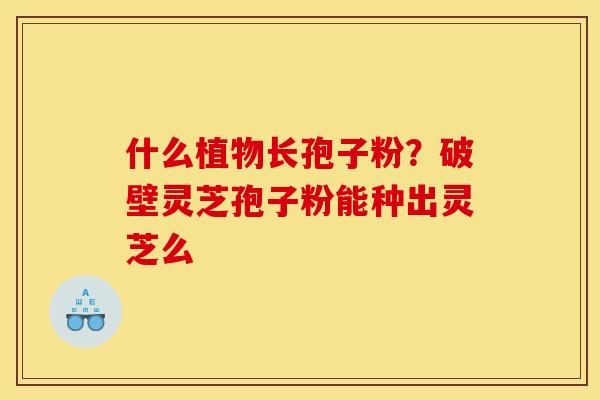 什么植物长孢子粉？破壁灵芝孢子粉能种出灵芝么