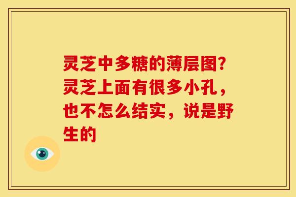 灵芝中多糖的薄层图?灵芝上面有很多小孔,也不怎么结实,说是野生的 灵芝中多糖的薄层图?灵芝上面有很多小孔,也不怎么结实,说是野生的