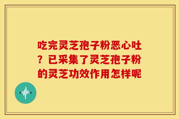 吃完灵芝孢子粉恶心吐?已采集了灵芝孢子粉的灵芝功效作用怎样呢 吃完灵芝孢子粉恶心吐?已采集了灵芝孢子粉的灵芝功效作用怎样呢