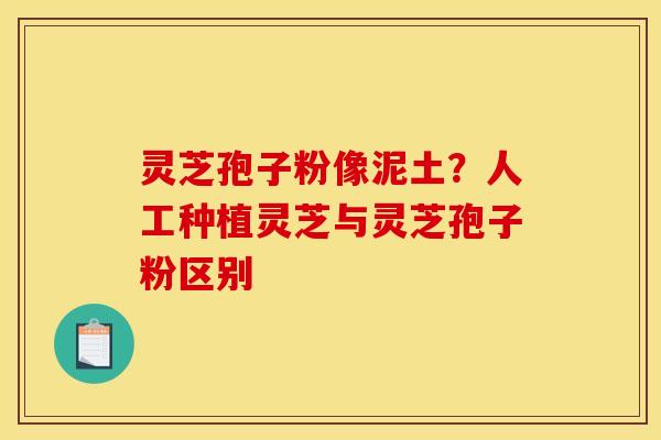 灵芝孢子粉像泥土？人工种植灵芝与灵芝孢子粉区别