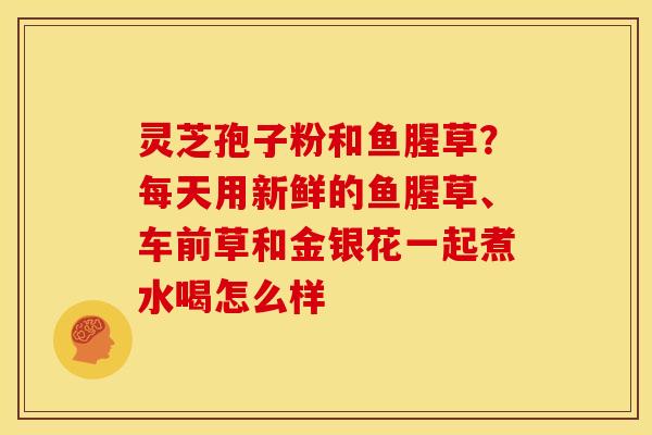 灵芝孢子粉和鱼腥草?每天用新鲜的鱼腥草、车前草和金银花一起煮水喝怎么样 灵芝孢子粉和鱼腥草?每天用新鲜的鱼腥草、车前草和金银花一起煮水喝怎么样