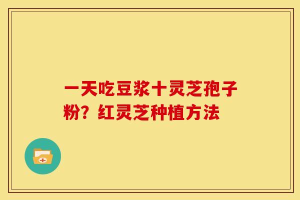 一天吃豆浆十灵芝孢子粉?红灵芝种植方法 一天吃豆浆十灵芝孢子粉?红灵芝种植方法