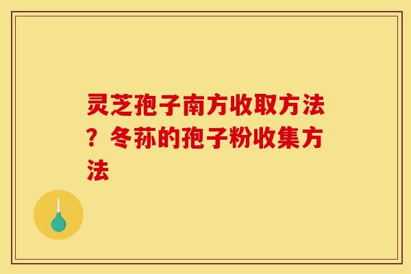 灵芝孢子南方收取方法?冬荪的孢子粉收集方法 灵芝孢子南方收取方法?冬荪的孢子粉收集方法