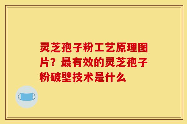 灵芝孢子粉工艺原理图片?有效的灵芝孢子粉破壁技术是什么 灵芝孢子粉工艺原理图片?有效的灵芝孢子粉破壁技术是什么