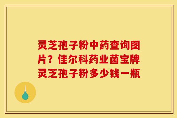 灵芝孢子粉查询图片?佳尔科药业菌宝牌灵芝孢子粉多少钱一瓶 灵芝孢子粉查询图片?佳尔科药业菌宝牌灵芝孢子粉多少钱一瓶
