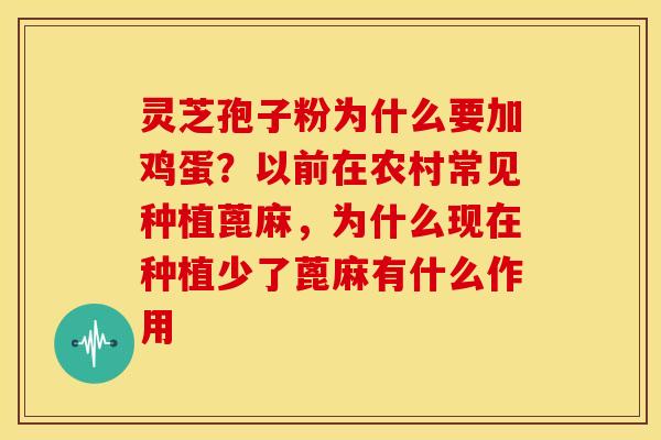 灵芝孢子粉为什么要加鸡蛋?以前在农村常见种植蓖麻,为什么现在种植少了蓖麻有什么作用 灵芝孢子粉为什么要加鸡蛋?以前在农村常见种植蓖麻,为什么现在种植少了蓖麻有什么作用