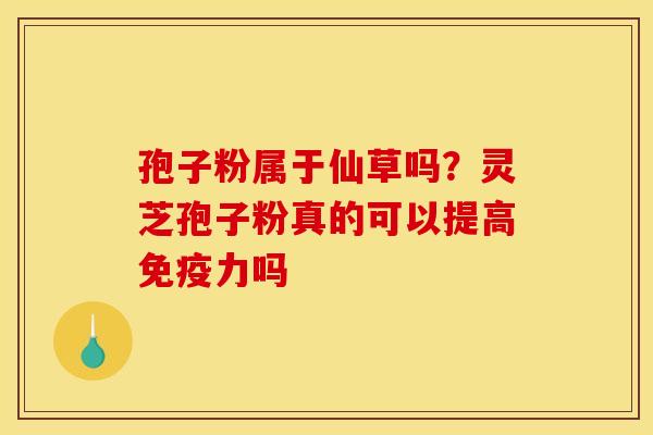 孢子粉属于仙草吗?灵芝孢子粉真的可以提高免疫力吗 孢子粉属于仙草吗?灵芝孢子粉真的可以提高免疫力吗