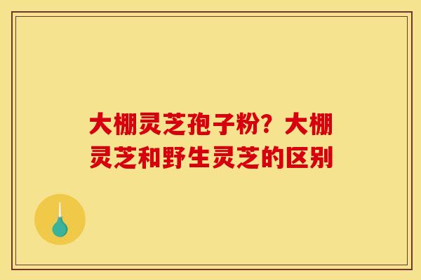 大棚灵芝孢子粉?大棚灵芝和野生灵芝的区别 大棚灵芝孢子粉?大棚灵芝和野生灵芝的区别