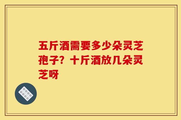 五斤酒需要多少朵灵芝孢子？十斤酒放几朵灵芝呀