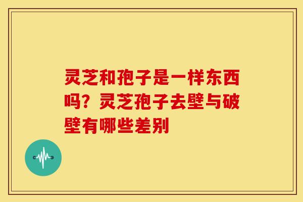 灵芝和孢子是一样东西吗?灵芝孢子去壁与破壁有哪些差别 灵芝和孢子是一样东西吗?灵芝孢子去壁与破壁有哪些差别