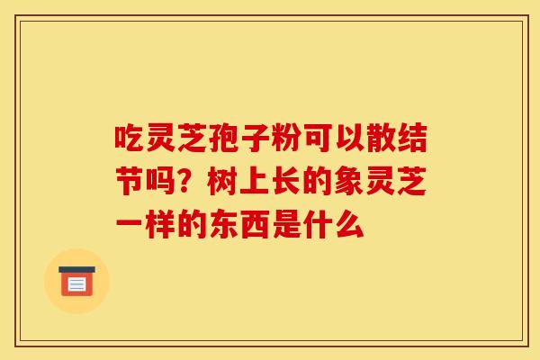 吃灵芝孢子粉可以散结节吗？树上长的象灵芝一样的东西是什么