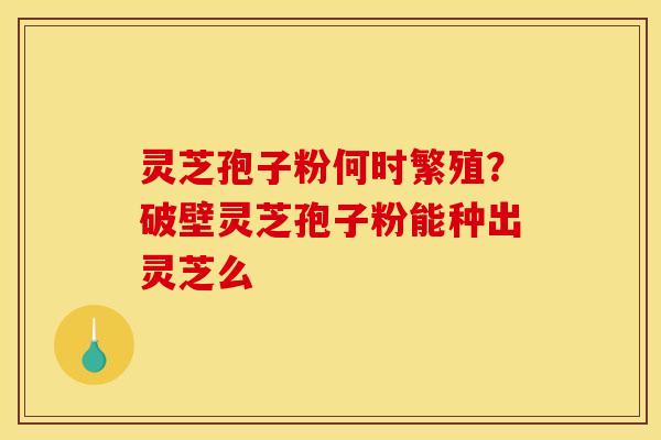 灵芝孢子粉何时繁殖?破壁灵芝孢子粉能种出灵芝么 灵芝孢子粉何时繁殖?破壁灵芝孢子粉能种出灵芝么