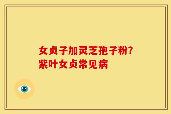 女贞子加灵芝孢子粉？紫叶女贞常见