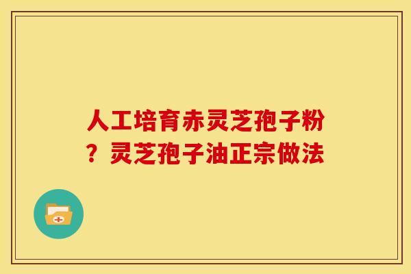人工培育赤灵芝孢子粉?灵芝孢子油正宗做法 人工培育赤灵芝孢子粉?灵芝孢子油正宗做法