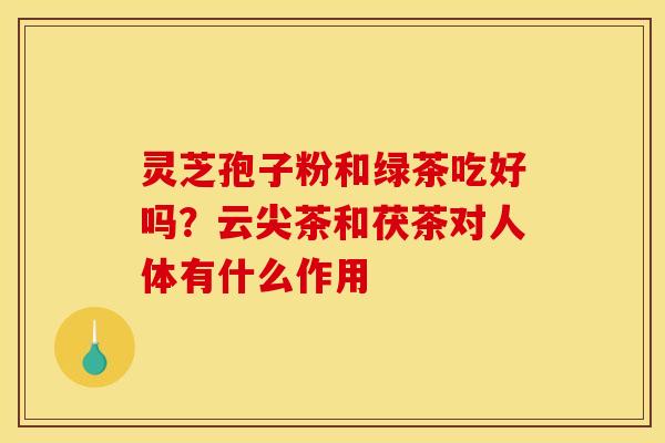 灵芝孢子粉和绿茶吃好吗?云尖茶和茯茶对人体有什么作用 灵芝孢子粉和绿茶吃好吗?云尖茶和茯茶对人体有什么作用