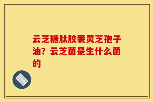 云芝糖肽胶囊灵芝孢子油?云芝菌是生什么菌的 云芝糖肽胶囊灵芝孢子油?云芝菌是生什么菌的