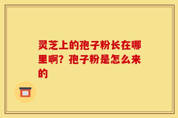 灵芝上的孢子粉长在哪里啊?孢子粉是怎么来的 灵芝上的孢子粉长在哪里啊?孢子粉是怎么来的