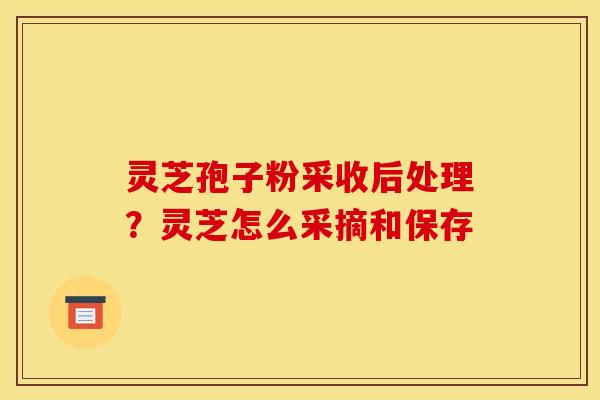 灵芝孢子粉采收后处理?灵芝怎么采摘和保存 灵芝孢子粉采收后处理?灵芝怎么采摘和保存